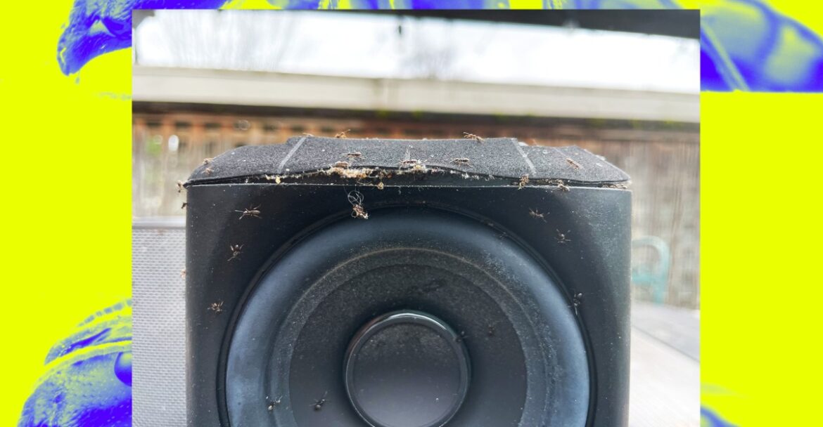 A buggy Sonos mystery | The Verge