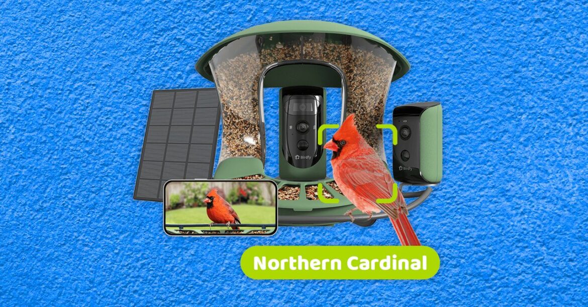 Best Bird Feeders With Cameras, Tested and Reviewed (2025)