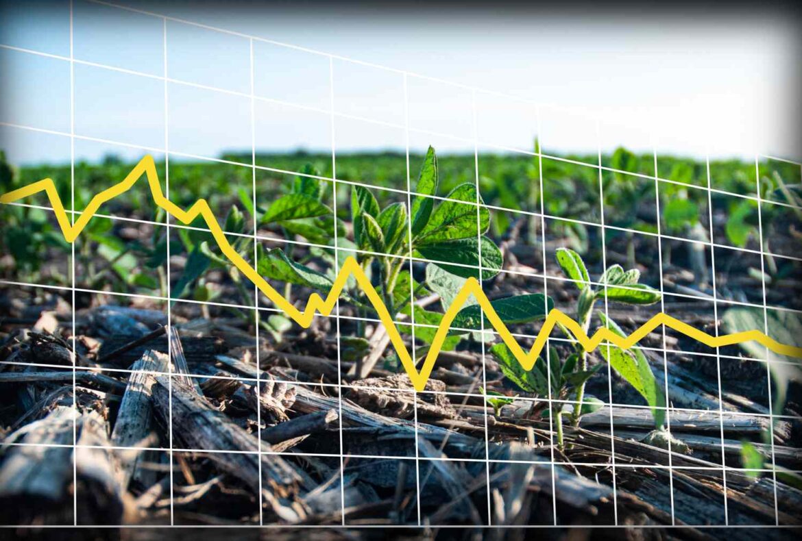 Corn and Soy End the Day Lower