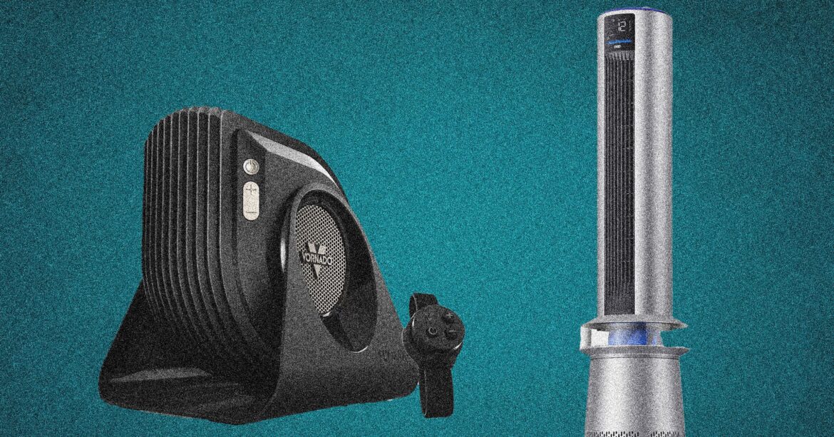 The 13 Best Fans, Editor Tested & Reviewed (2025)