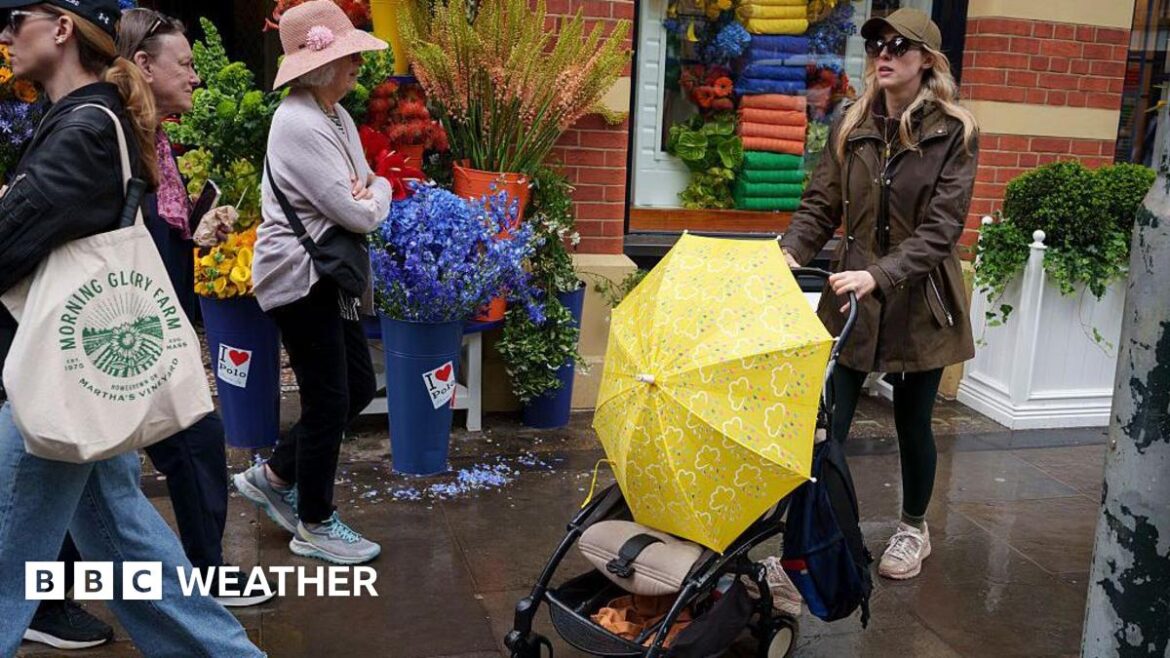 Shoppers passing by a shop displaying flowers on Sloan Square in London. One passer-by is a woman wearing sunglasses and a cap pushing a pram covered with a yellow umbrella. The ground is wet with rain.