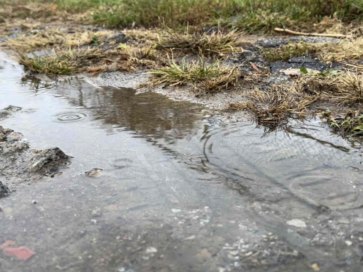Wettest Year On Record So Far In Kentucky Causes Planting Delays