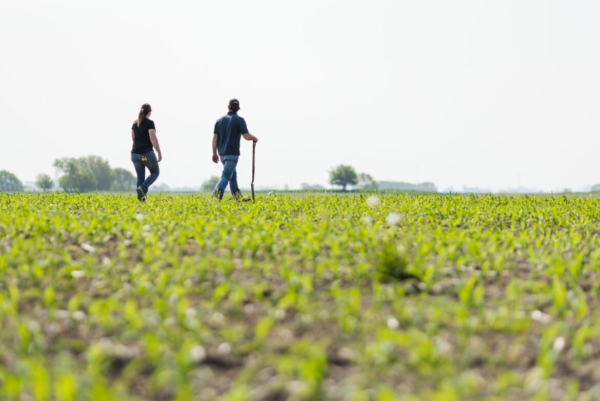 2 Top States Are Done With Corn Planting, USDA Says