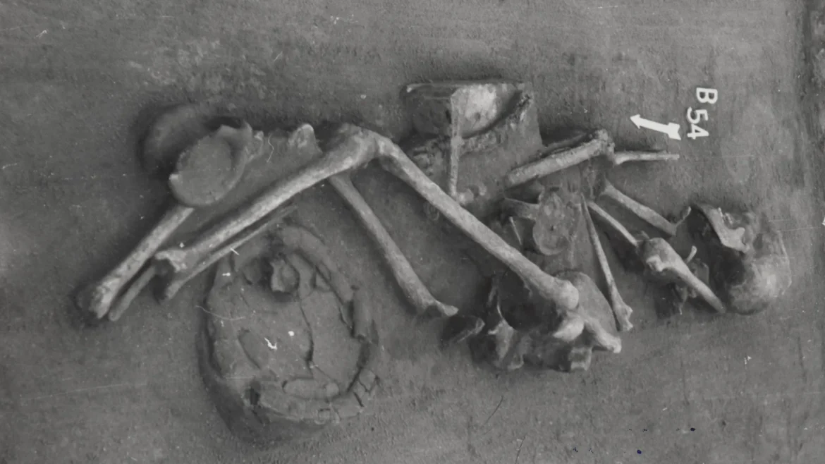 3,500-year-old graves reveal secrets that rewrite bronze age history