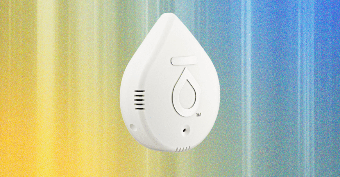 8 Best Water Leak Detectors (2025), Tested and Reviewed