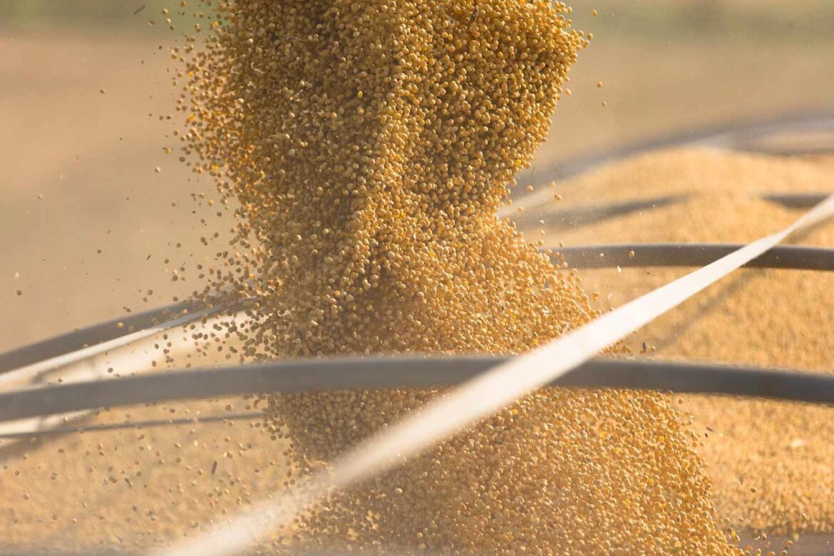 China’s May Soybean Imports From Brazil Jump 37.5% Y/Y