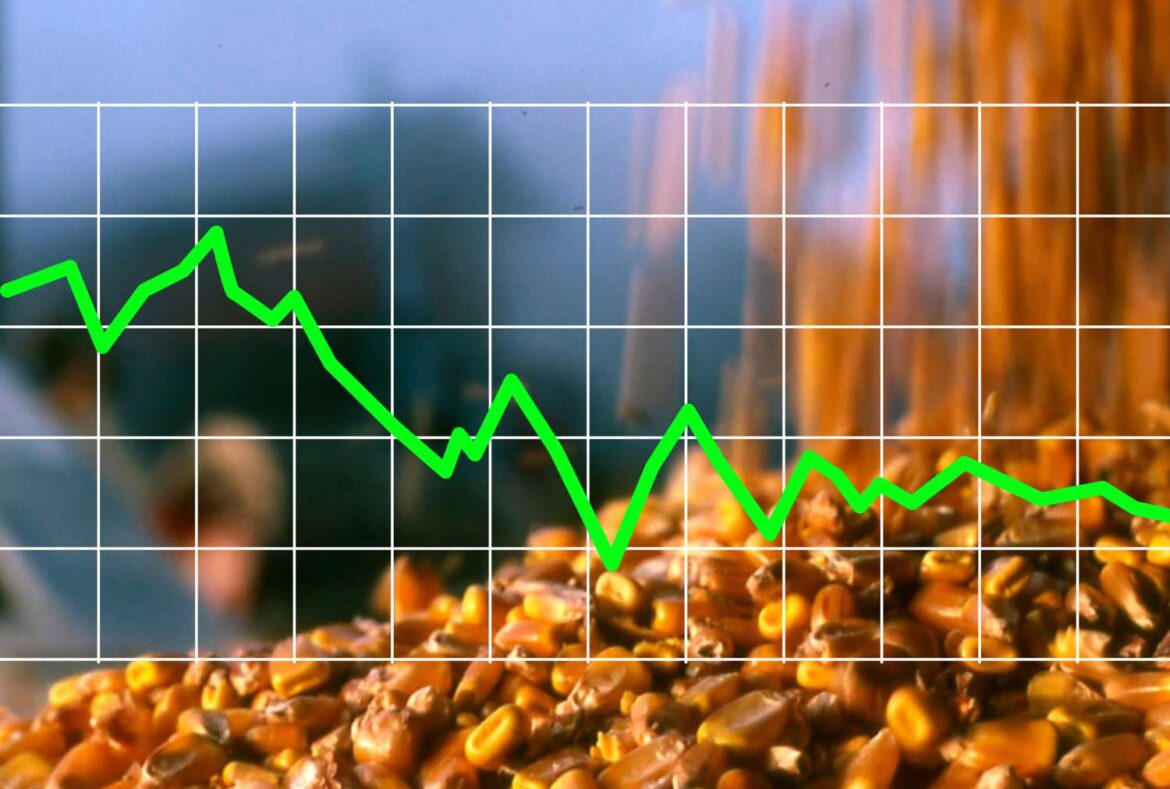 Corn Closes Down | Thursday, June 26, 2025