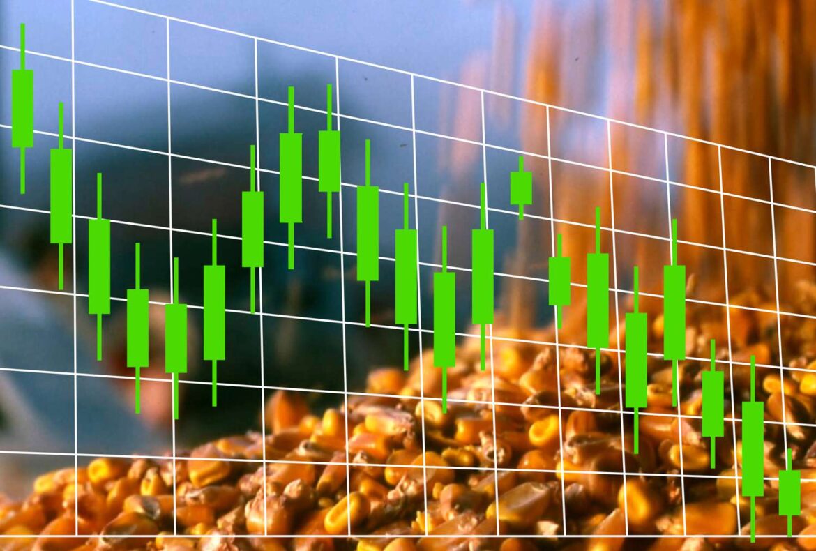 Corn Down Slightly | Wednesday, June 11, 2025