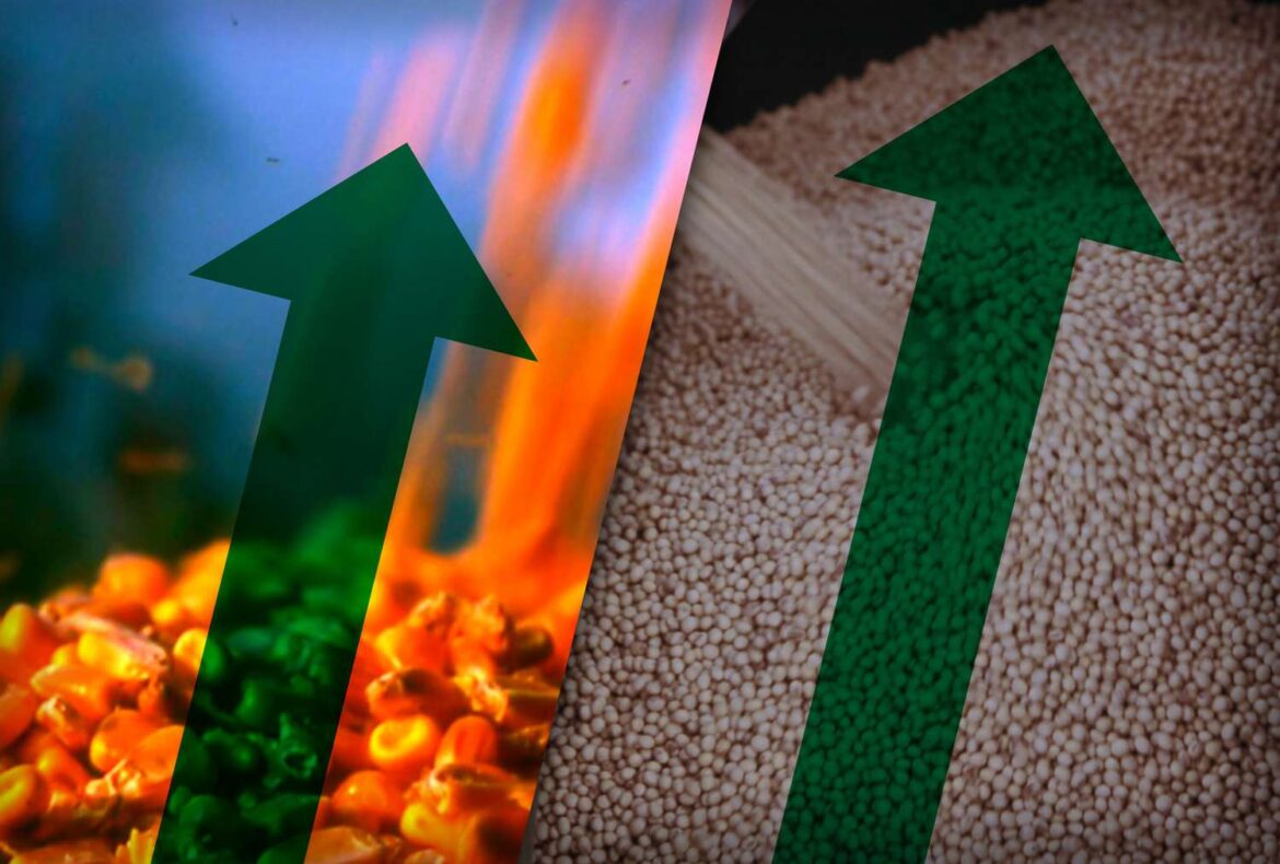 Corn and Soy Close Higher