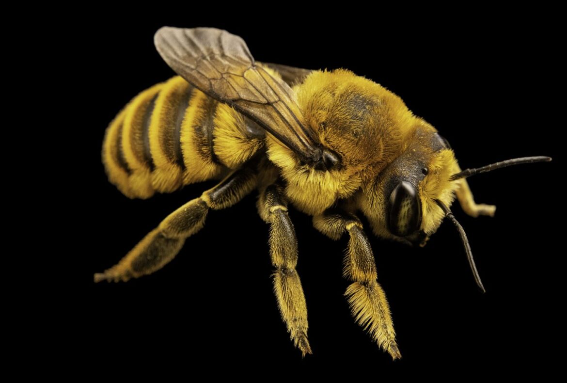 Inside the Unexpected Partnership Between a Nebraska Rancher and a National Geographic Photographer