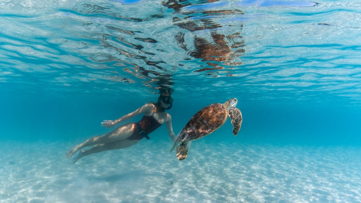 The Best Places to Snorkel Around the World