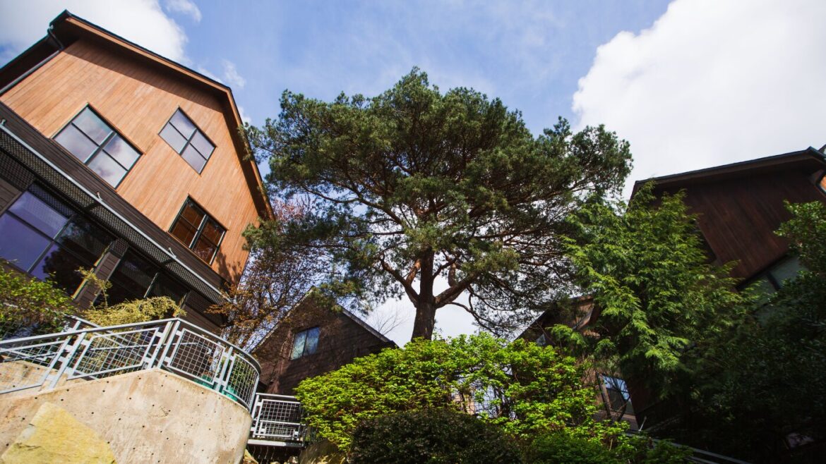 Why preserving trees while meeting housing demand is a good thing : NPR