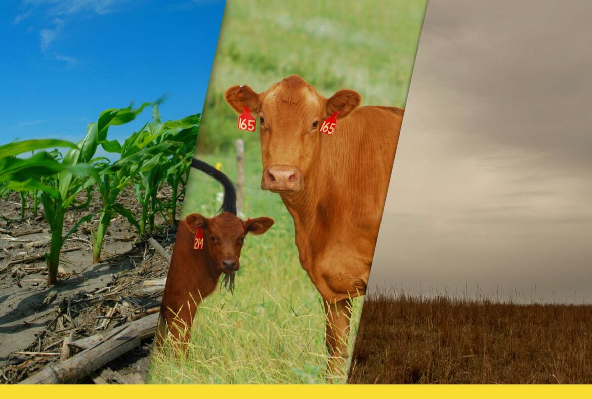 3 Big Things Today, July 7, 2025