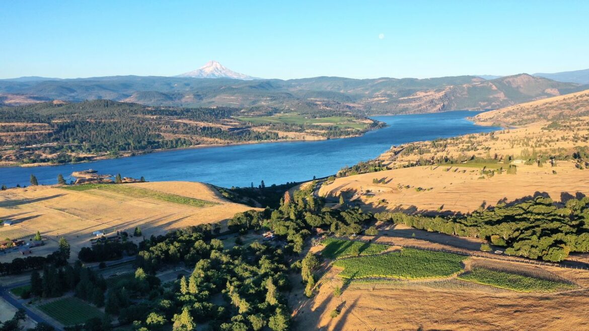 Condé Nast Traveler