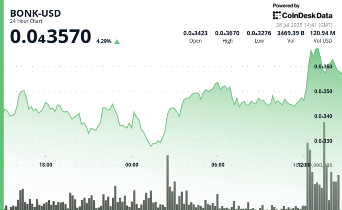 BONK Surges 6% as Solana Ecosystem Momentum Sparks Investor Interest