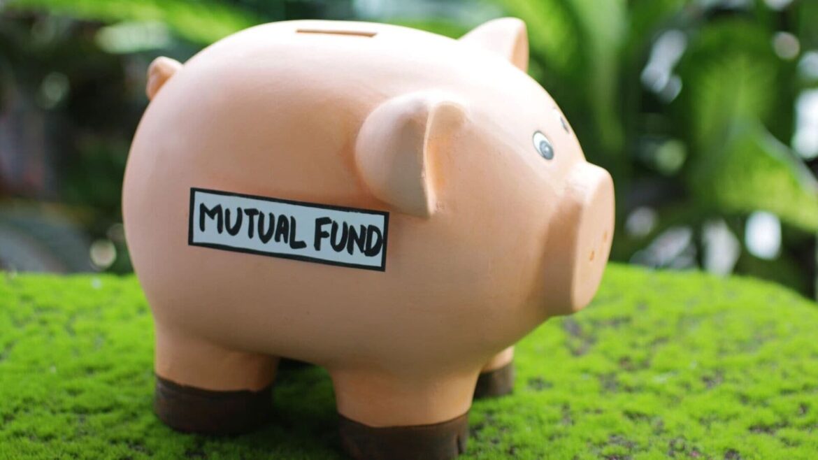 Best Mutual Funds: These flexi caps gave more than 20 percent annualised return in past 5 years