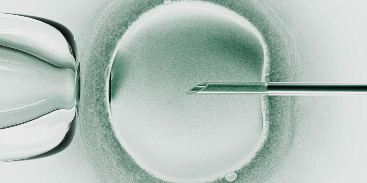 Researchers announce babies born from a trial of three-person IVF
