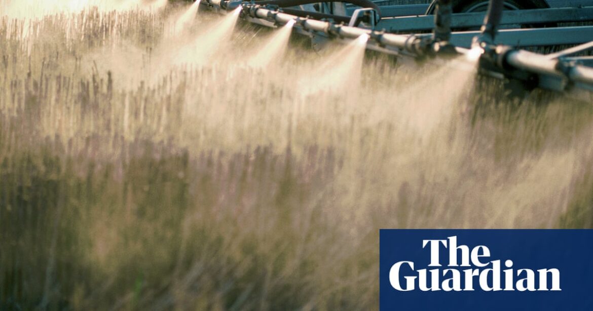 Weedkiller ingredient widely used in US can damage organs and gut bacteria, research shows | Herbicides