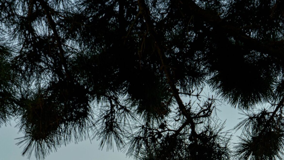 Just Back From: A Korean Honeymoon in Seoul and Jeju