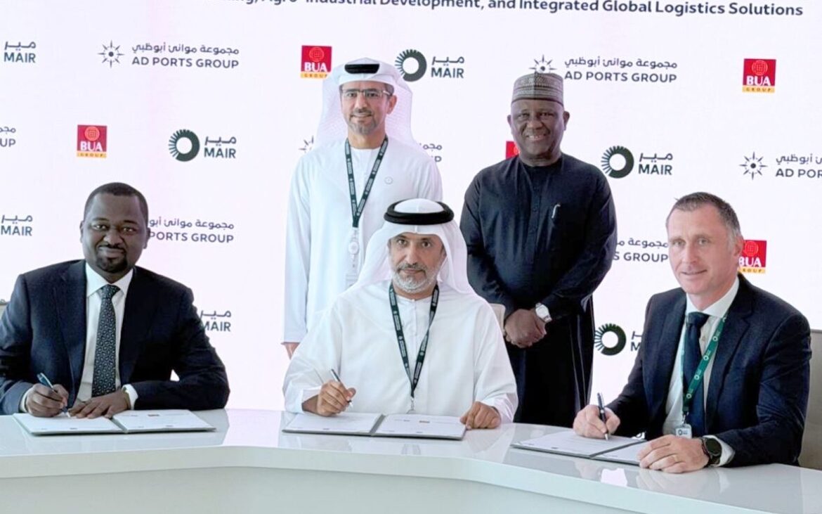 Tinubu hails BUA's MoU with UAE firms