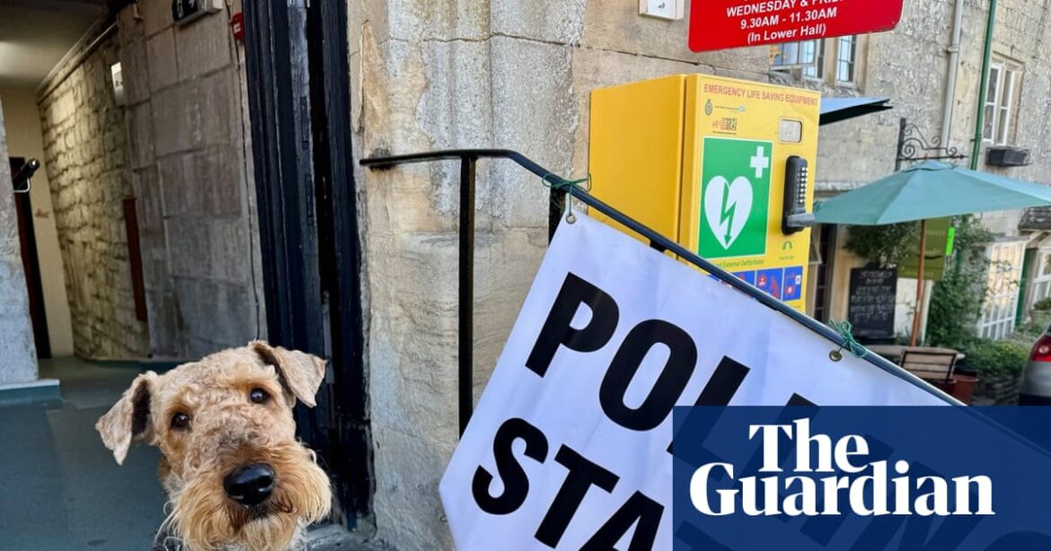 What made ministers think they could delay local elections in England? | Local elections